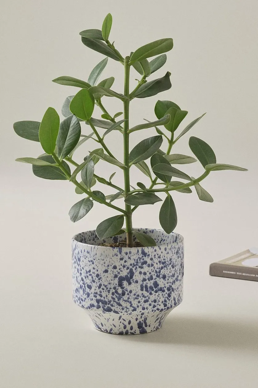 BELLADONNA potteskjuler diameter 21,5 cm