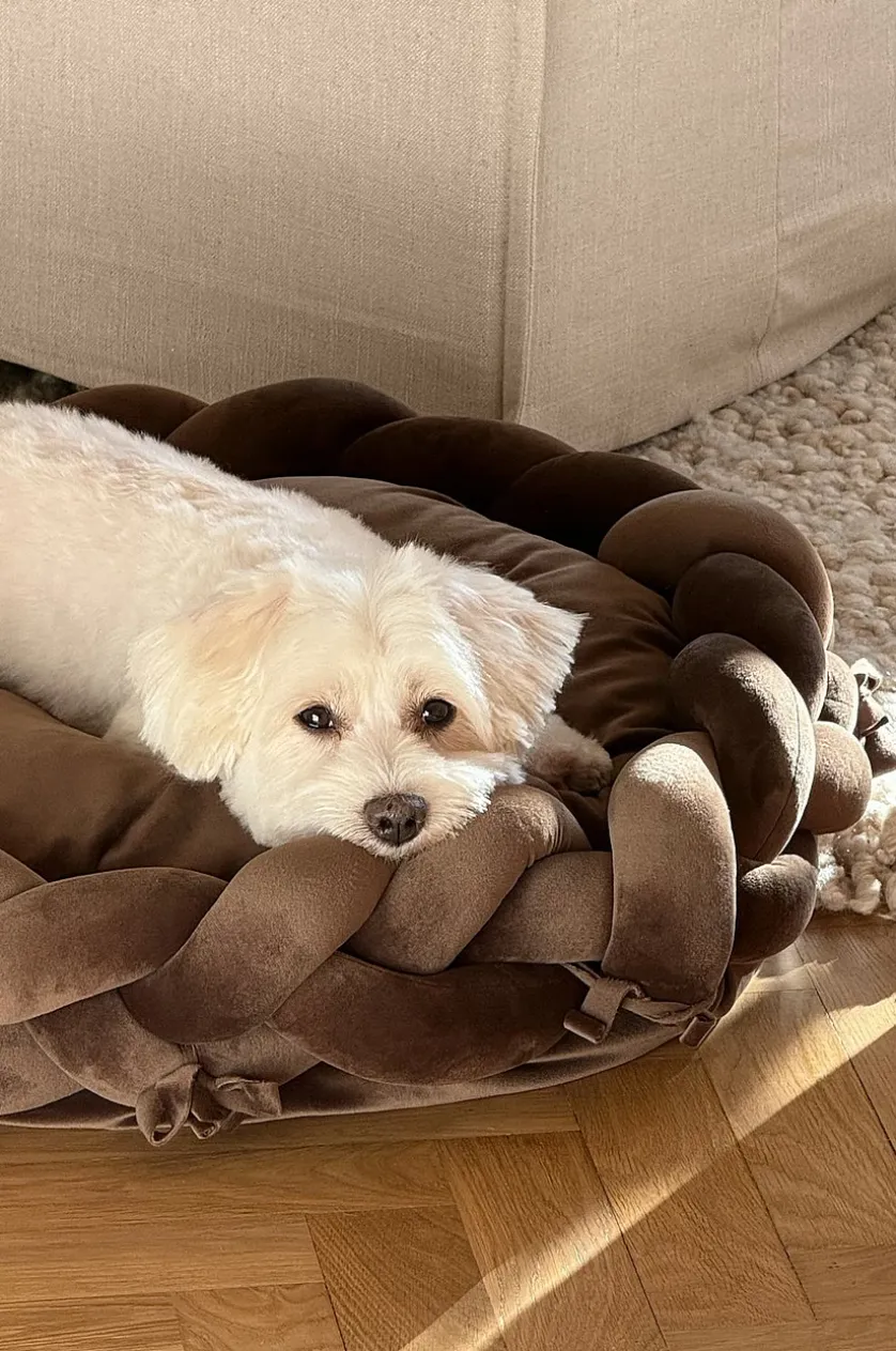 BRADY hunde-/katteseng