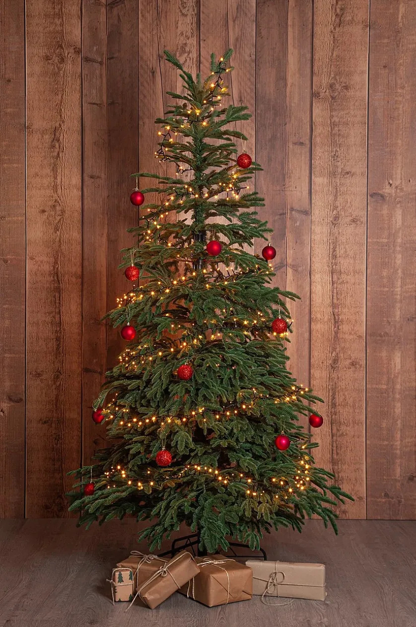 EDANE juletræ naturtro udendørs højde 210 cm