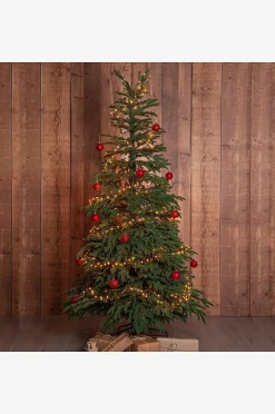EDANE juletræ naturtro udendørs højde 210 cm