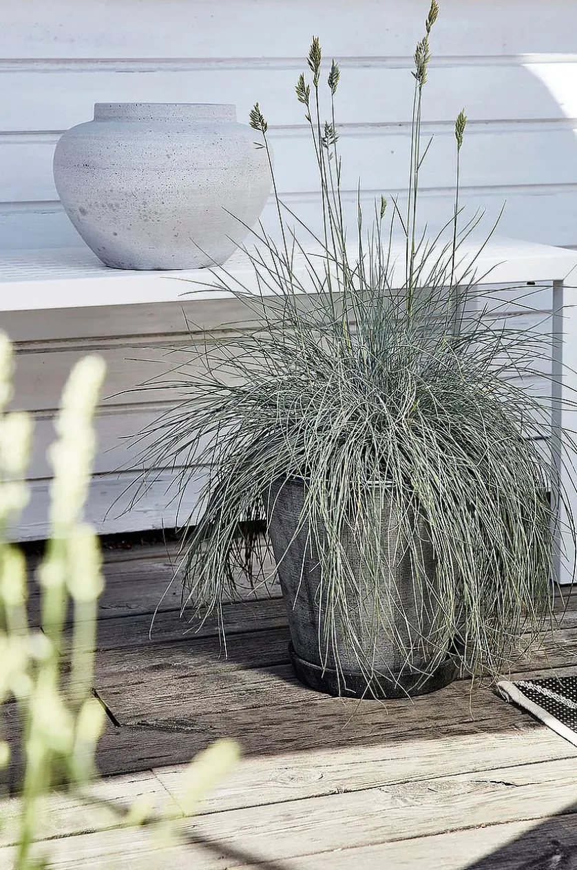 NÄS bænk 150 cm