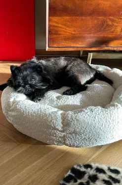 OBI hunde-/katteseng