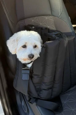 PADDY Transporttaske til dyr