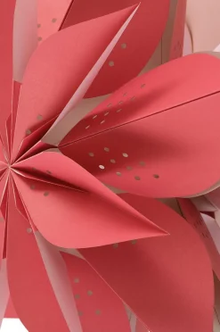 POINSETTIA julestjerne