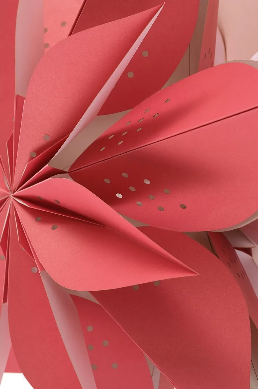 POINSETTIA julestjerne