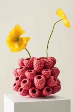 RASPBERRY vase/gryde