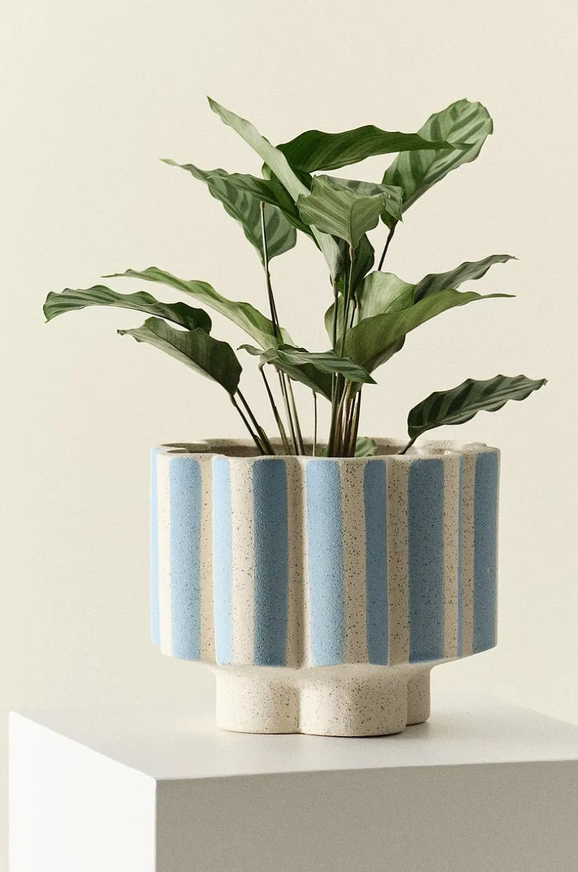 SIGFRID STRIPE krukke