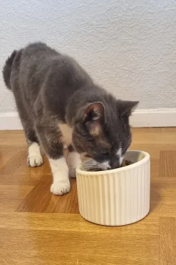 SLURP madskål til hund/kat