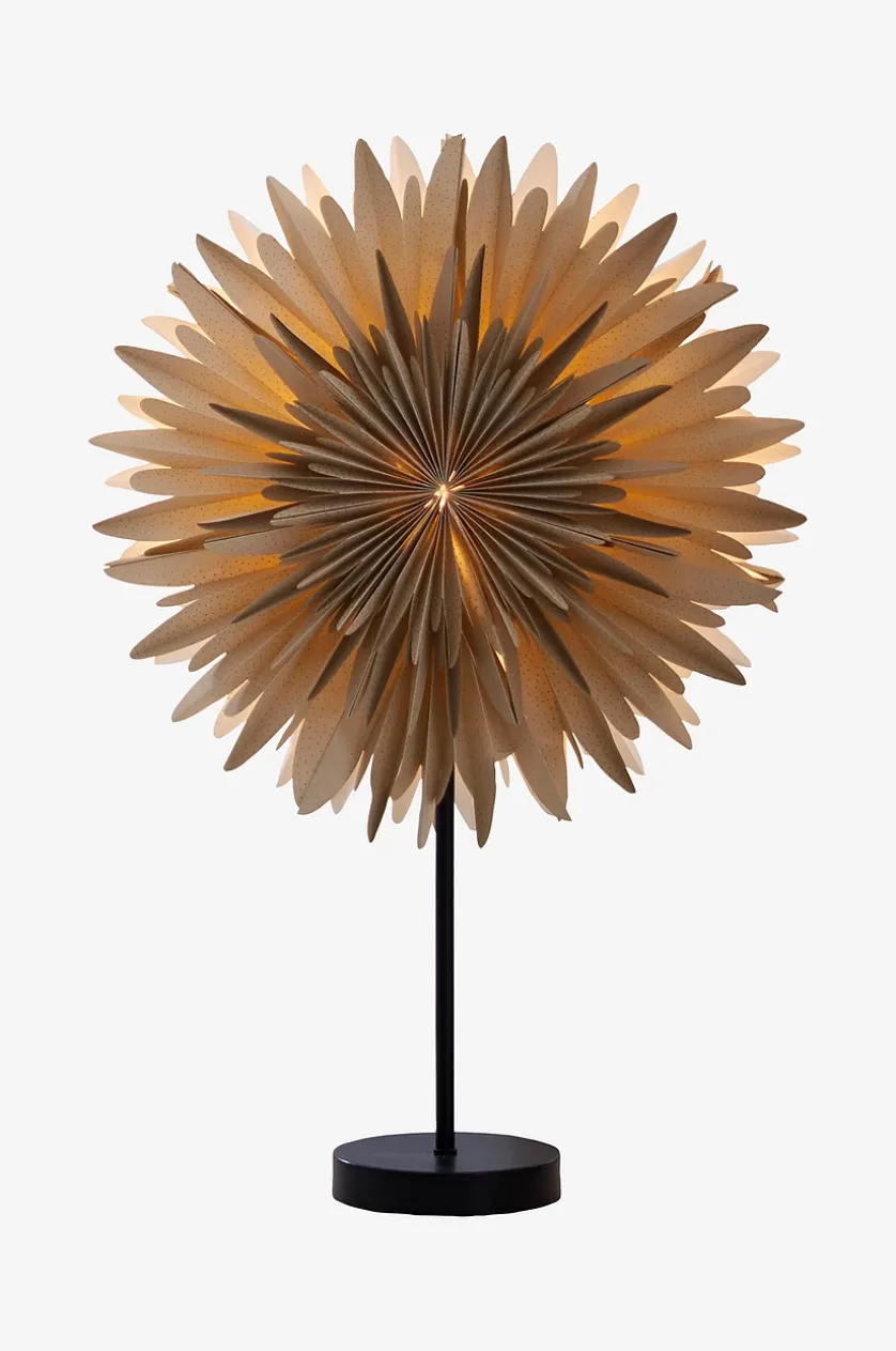 Stjerne Til fods Vinter